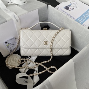 Chanel Handbags 1105